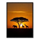 Savane d’Or