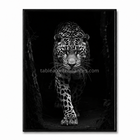 Tableau noir et blanc Fauve Nocturne, jaguar avançant dans une forêt sombre