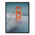 Golden Gate Bridge - Above The Clouds