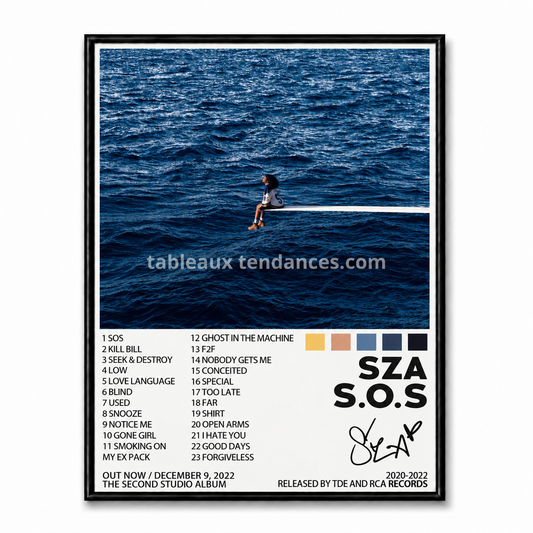 Tableau musical encadré S.O.S de SZA avec visuel océan bleu et tracklist.