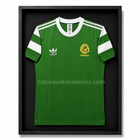 Tableau Maillot Rétro Encadré – Les Lions Indomptables
